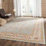 Safavieh Sevilla SEV811 Power Loomed Rug