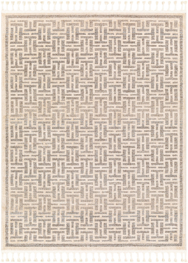 Surya Sofia Modern SFA-2306 Rug SFA2306-9212