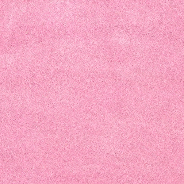 Safavieh Kids SFK338 Hand Tufted Rug