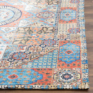 Safavieh Saffron SFN541 Hand Loomed Rug