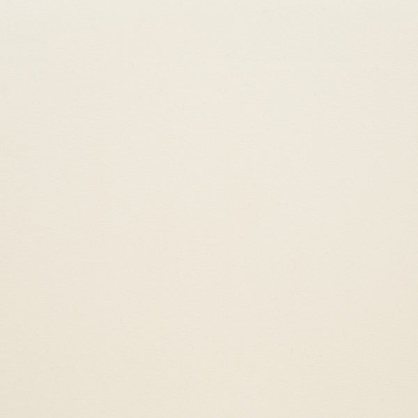 Safavieh Matty Scandinavian Dining Chair SFV5025A