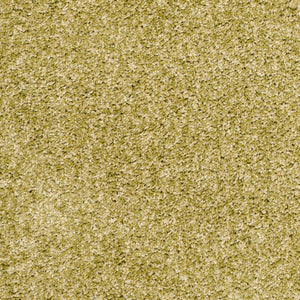 Safavieh Shag Sg151 606 Power Loomed Rug