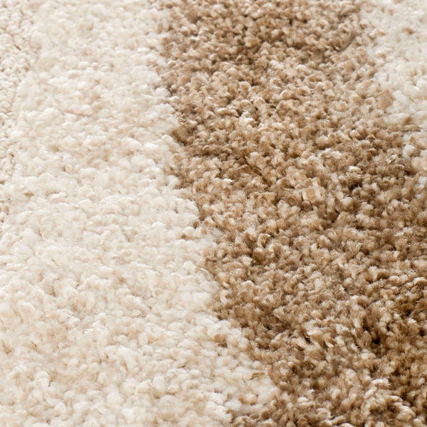 Safavieh Shag Sg451 281 Power Loomed Rug