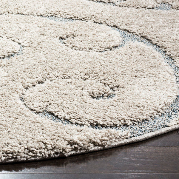 Safavieh Shag Sg455 801 Power Loomed Rug