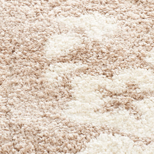 Safavieh Shag Sg457 791 Power Loomed Rug