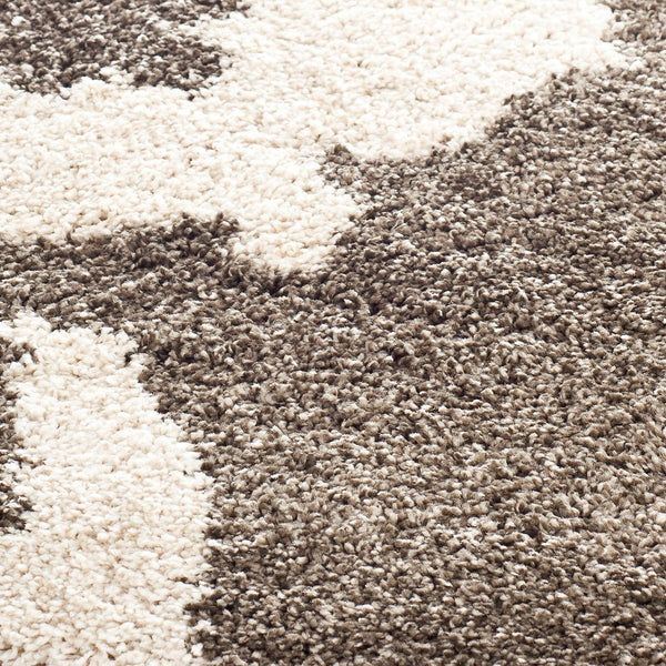 Safavieh Shag Sg458 801 Power Loomed Rug