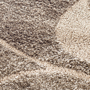 Safavieh Shag Sg459 791 Power Loomed Rug