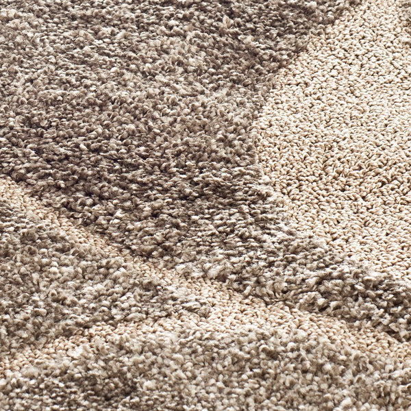 Safavieh Shag Sg459 791 Power Loomed Rug