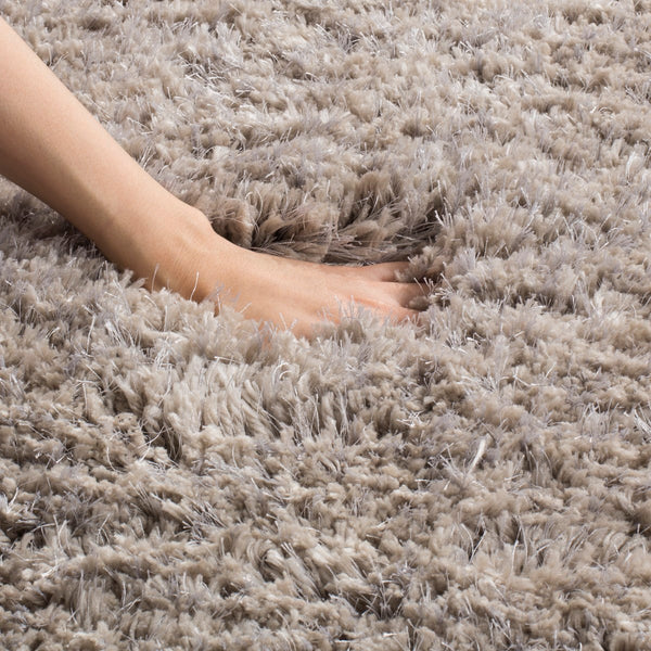 Safavieh Express SGE620 Hand Tufted Rug