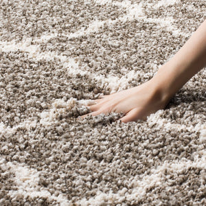 Safavieh Sgh Hudson SGH282 Power Loomed Rug