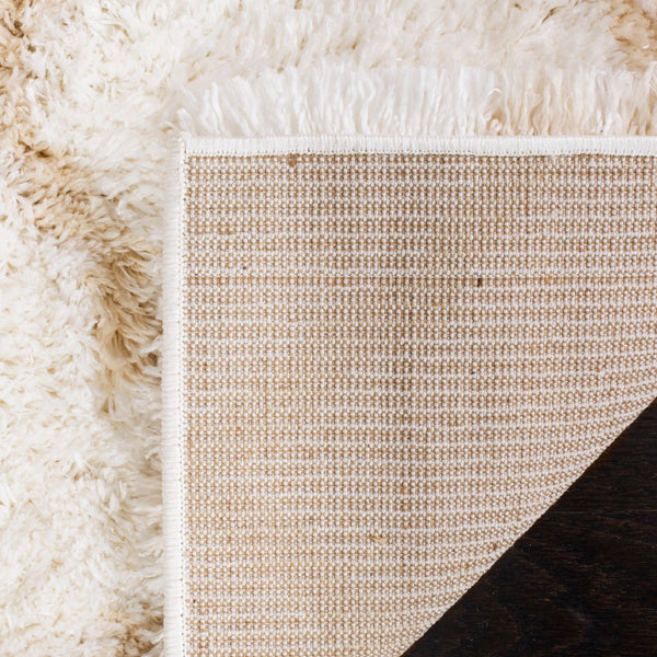 Safavieh Indie SGI322 Power Loomed Rug