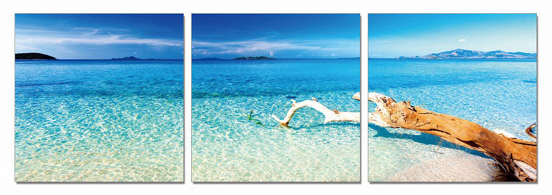 VIG Furniture Modrest Driftwood 3-Panel Photo VGSCSH-71895ABC