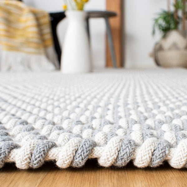 Safavieh Salem 102 Hand Woven Cotton Contemporary Rug SLM102F-9