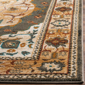 Safavieh Summit SMT294 Power Loomed Rug