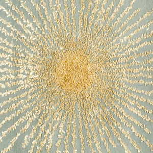 Safavieh Soho SOH712 Hand Tufted Rug