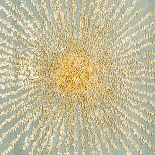 Safavieh Soho SOH712 Hand Tufted Rug