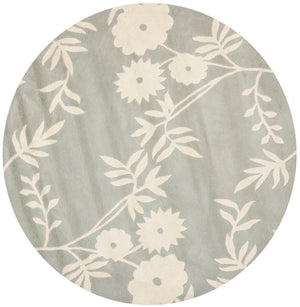 Safavieh Soho SOH774 Hand Tufted Rug