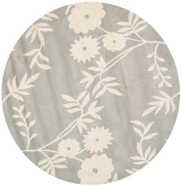 Safavieh Soho SOH774 Hand Tufted Rug