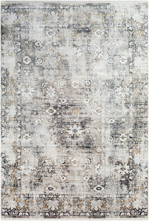 Surya Solar Traditional SOR-2308 Rug SOR2308-6796