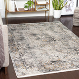 Surya Solar Traditional SOR-2308 Rug SOR2308-6796