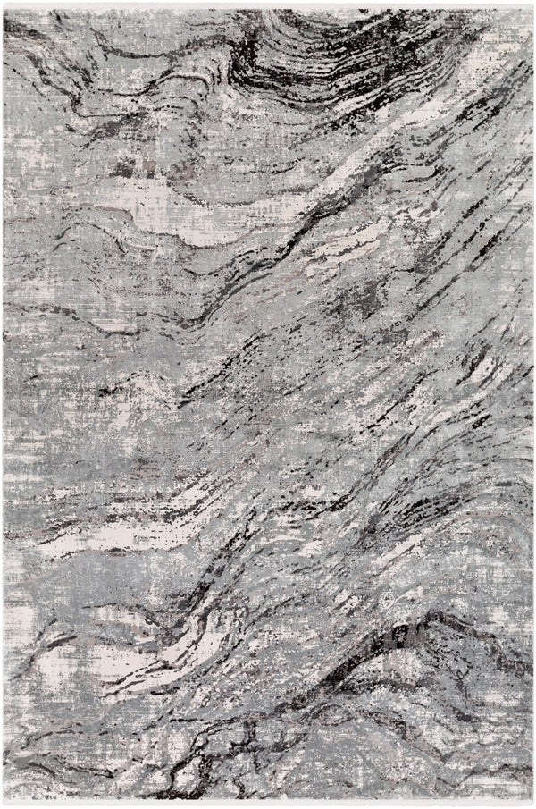 Surya Solar Modern SOR-2309 Rug SOR2309-6796