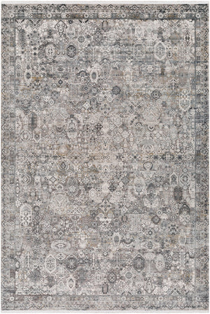 Surya Solar Traditional SOR-2313 Rug SOR2313-6796