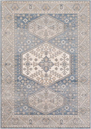 Seattle STA-2318 Traditional Polypropylene Rug STA2318-710102 Medium Gray, Denim, Khaki, White, Light Gray 100% Polypropylene 7'10" x 10'2"