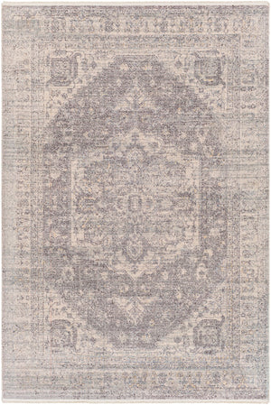 Surya Subtle Traditional SUB-2321 Rug SUB2321-9212