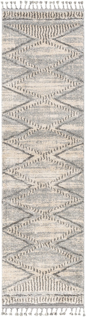 Surya Sousse Global SUS-2300 Rug SUS2300-21010