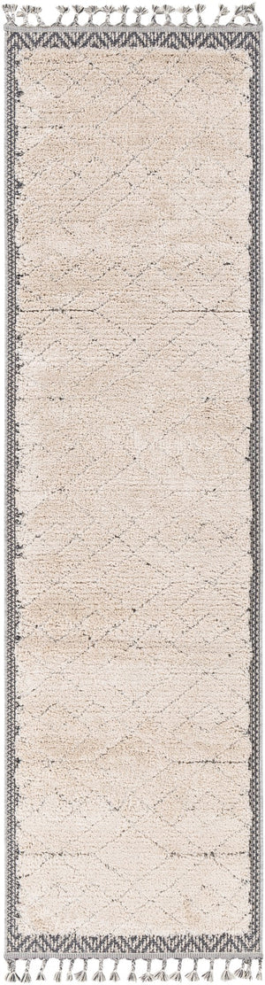 Surya Sousse Global SUS-2305 Rug SUS2305-21010