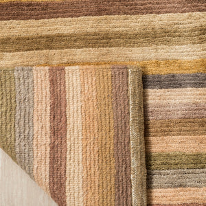 Safavieh TB198 Hand Knotted Rug