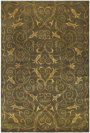 Safavieh TB417 Hand Knotted Rug