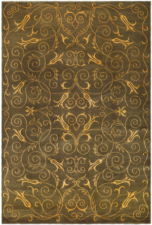 Safavieh TB417 Hand Knotted Rug