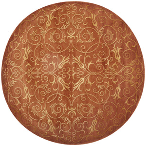 Safavieh TB417 Hand Knotted Rug