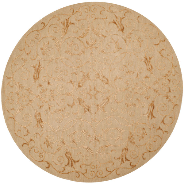 Safavieh TB417 Hand Knotted Rug