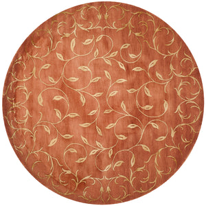 Safavieh TB422 Hand Knotted Rug