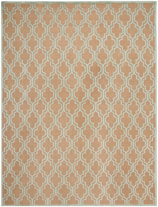 Safavieh TB654 Hand Knotted Rug
