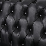 Mooney Chesterfield Leather Tufted Loveseat with Nailhead Trim, Midnight Black and Espresso Noble House
