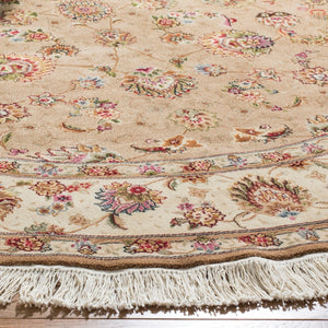 Safavieh TF30 TF3 Rug