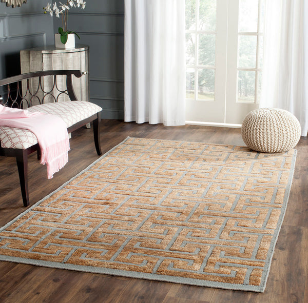 Safavieh Tangier TGR417 Rug