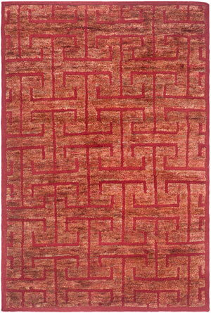 Safavieh Tangier TGR417 Rug