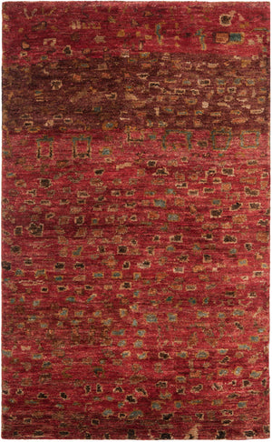 Safavieh Tangier TGR646 Rug