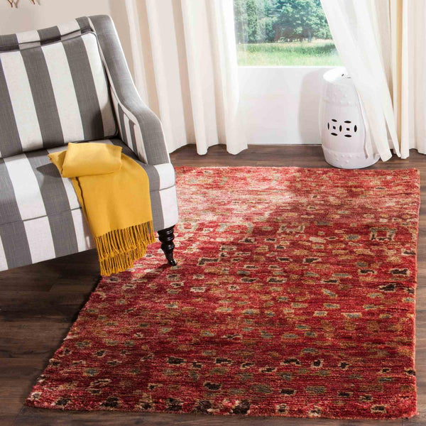 Safavieh Tangier TGR646 Rug