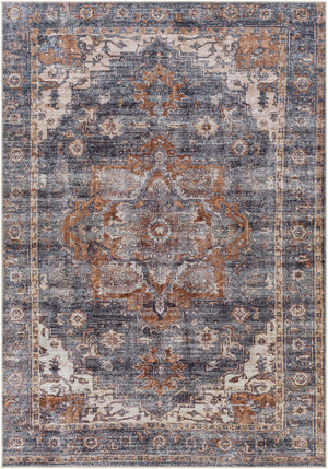 Surya Tahmis Traditional THI-2701 Rug THI2701-81012