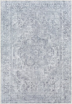 Surya Tahmis Traditional THI-2710 Rug THI2710-81012