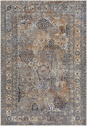 Surya Tahmis Traditional THI-2711 Rug THI2711-81012