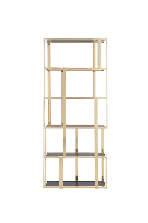 VIG Furniture Modrest Tipton - Modern Grey Glass & Gold Bookshelf VGZAZWJ9506-GLD-SHELF