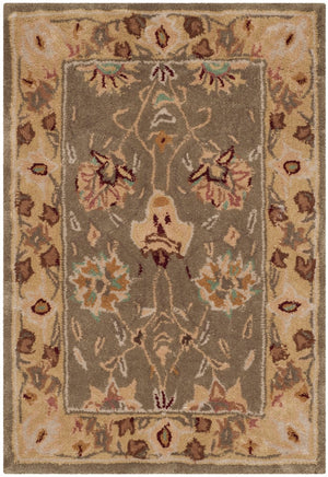 Safavieh Total TLP712 Hand Hooked Rug