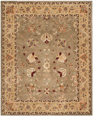 Safavieh Total TLP712 Hand Hooked Rug