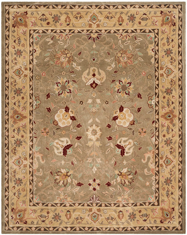 Safavieh Total TLP712 Hand Hooked Rug